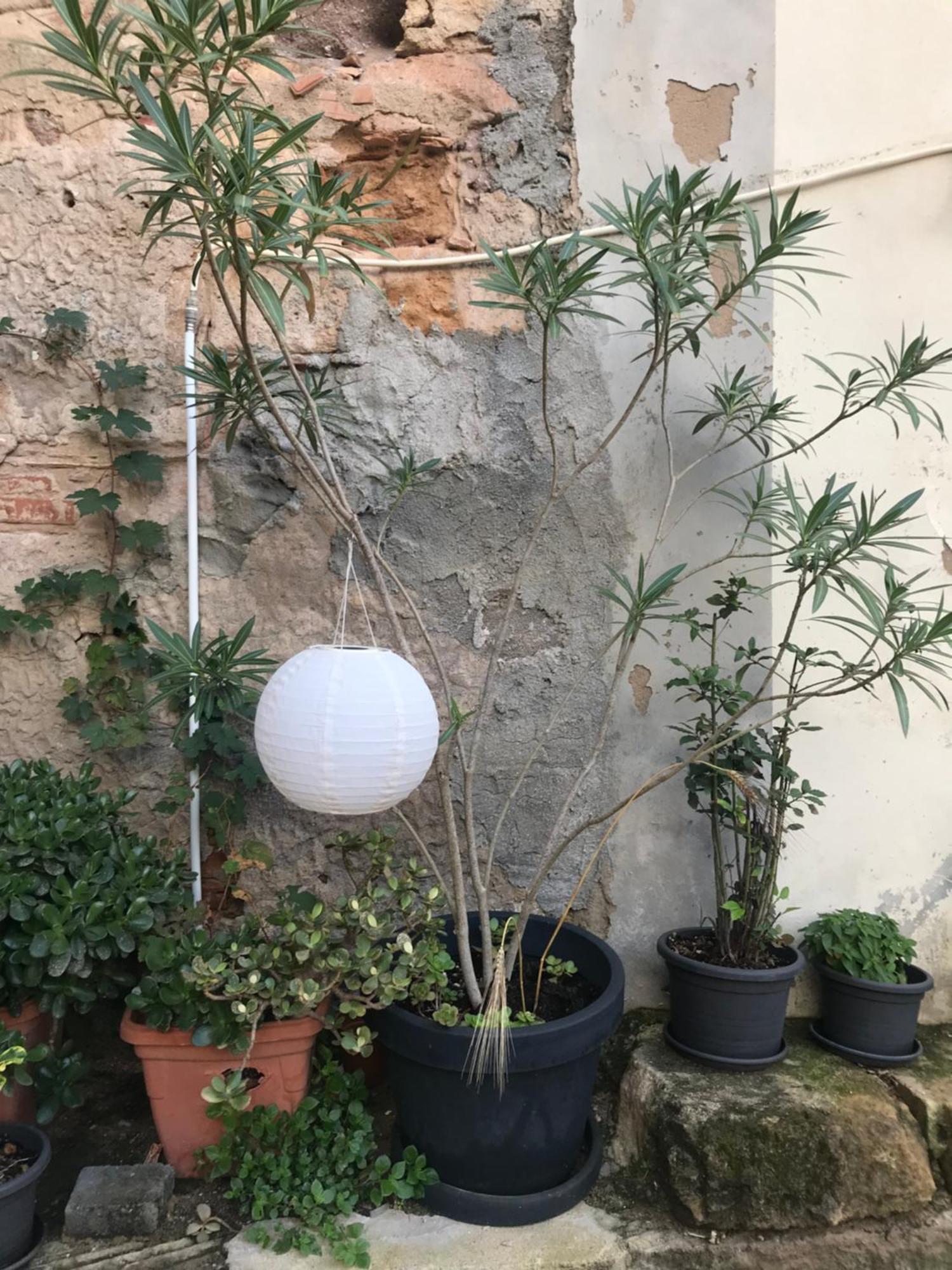 Terrazza Del Convento - Cozy Apartment With Seeview Private Terrace Alghero Exterior foto